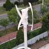 Brightway 10KW منخفض الضوضاء مولد طاحونة طاحونة رأسية 2KW-10KW