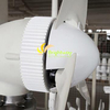 100W 200W 300W 400W مولد طاقة الرياح الصغيرة